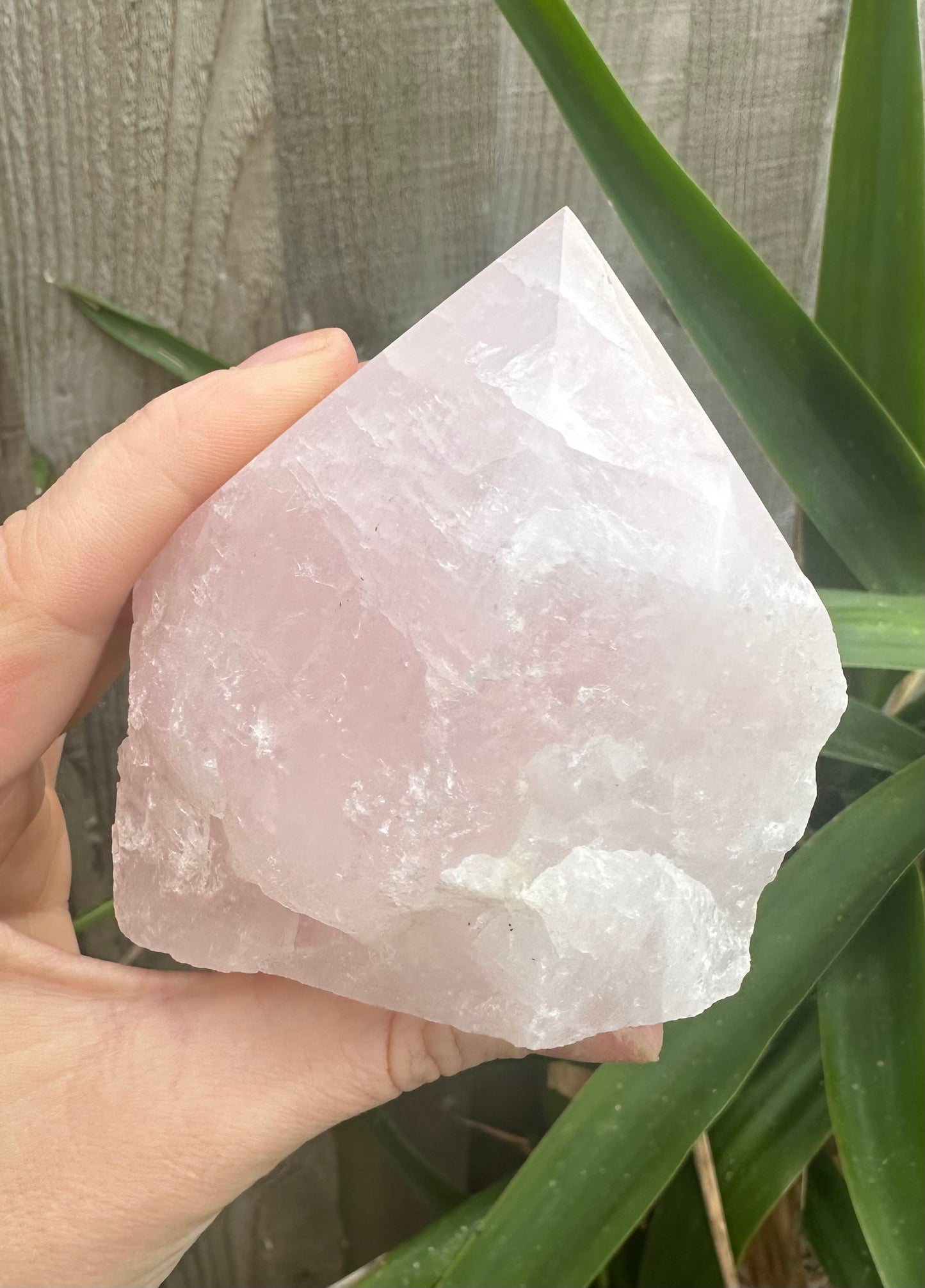 Rose Quartz Cut base polished point