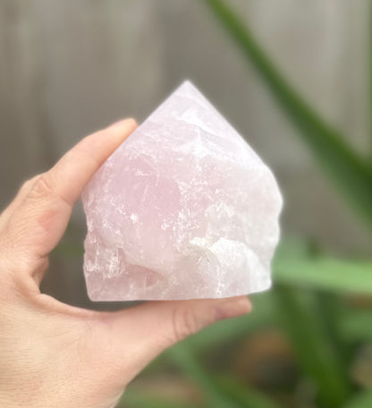 Rose Quartz Cut base polished point