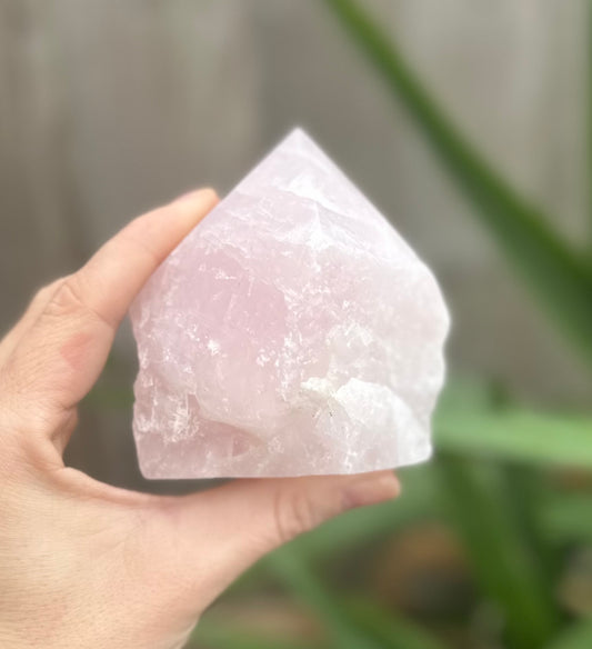Rose Quartz Cut base polished point